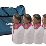Little Anne Brown 4-pack